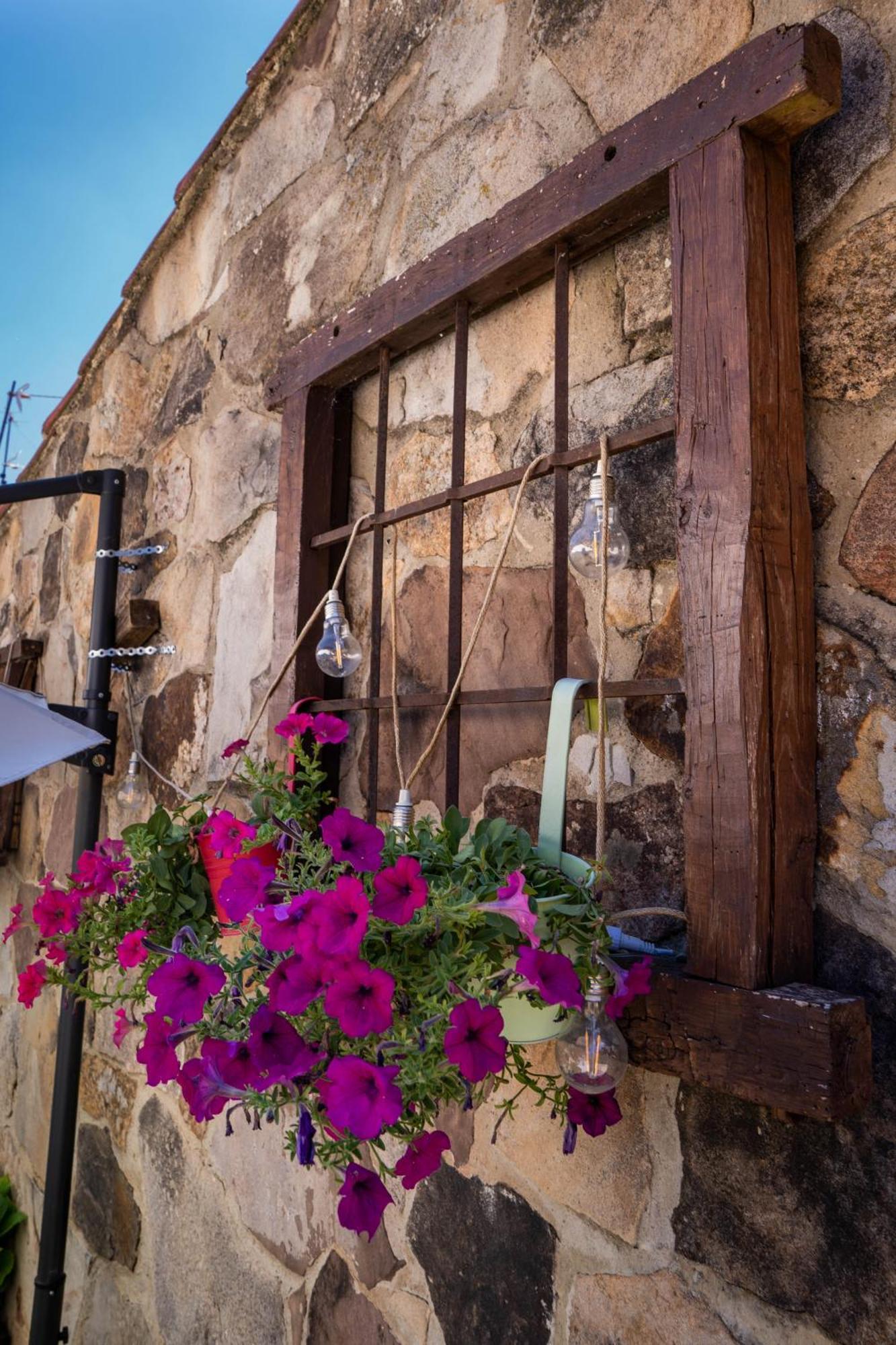 Posada Rural La Pinorra Vinuesa Exterior foto